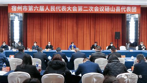 砀山县代表团召开第一次全体代表会议_工作_政治_审查