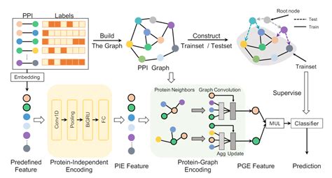 PSP - 蛋白质结构预测 ESMFold 算法的工程配置