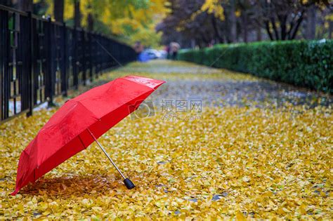 虹彩雨伞直销拐杖伞老人专用伸缩可调节晴雨两用防滑登山多功能伞-阿里巴巴