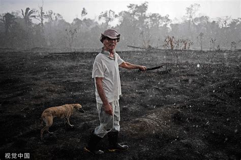 “地球之肺”亚马逊雨林，为何成为人类禁区？里面到底有多恐怖？_高清1080P在线观看平台_腾讯视频