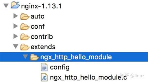 实战开发一个Nginx扩展 (Nginx Module)-面圈网