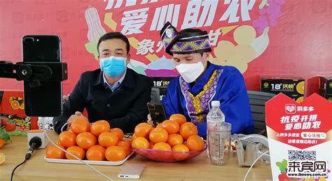 代县长直播带货 给力助销柑橘 - 来宾网 - 来宾日报社主办