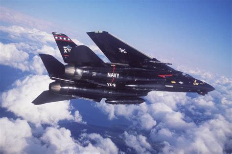 F-14战斗机(美国战斗机绰号)_360百科