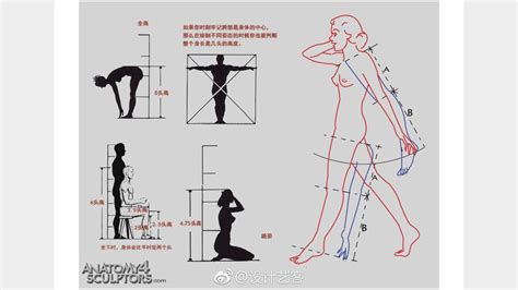 人体比例标准图图片