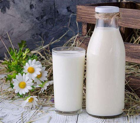 牛奶、羊奶、驼奶，哪种奶营养价值更高？ - 知乎