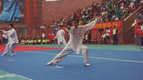 深圳市第二十四届传统武术精英赛在龙华文体中心成功举办--各区动态