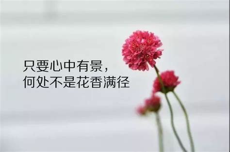 2023年中国农民丰收节心得感悟Word模板下载_编号qjpwbnnx_熊猫办公