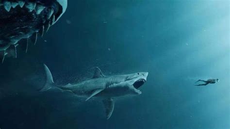 电影里令人胆寒的巨齿鲨，真是水里最凶猛的动物吗？_科普中国网