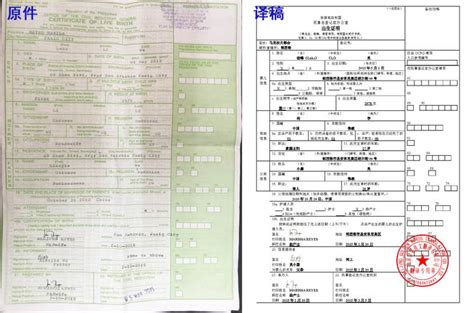 出国留学犯罪记录证明模板