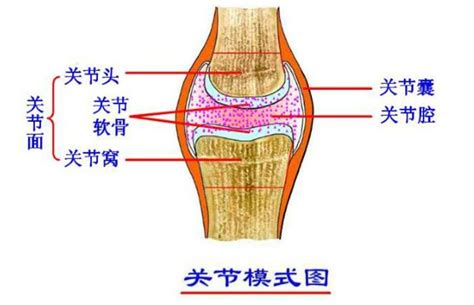 怎么判断生理性疾病