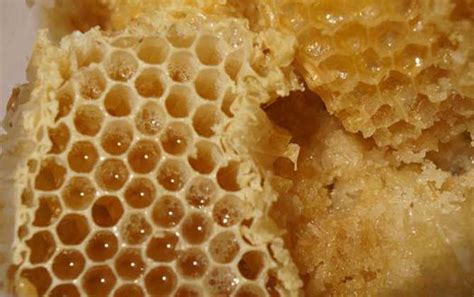 大家知道蜂巢蜜有哪些吃法吗?