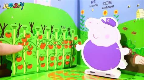 爷爷的菜园-我的乐园作文400字(集锦10篇)