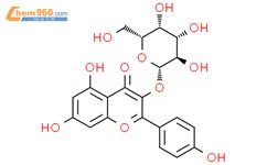 山柰的化学成分