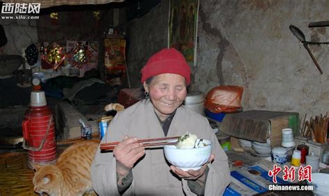 南山居士是什么意思