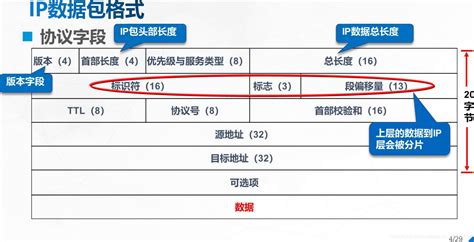 db文件格式是什么格式