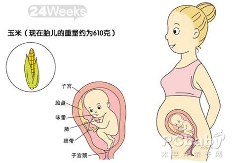 孕31周胎儿绕颈一周怎么办
