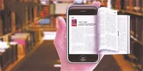 TXT, PDB, PDF, EPUB,FB2, HTML是什么意思