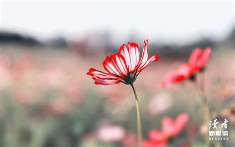 快要过年很累的诗句