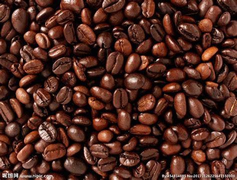 咖啡豆供应商