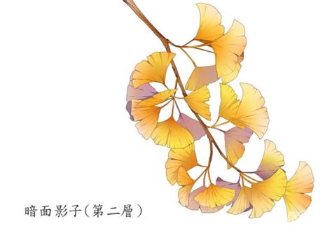 描写银杏最出名的诗句[共61条]
