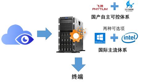 大树营养液的使用方法