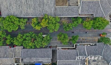 中国四大古建筑群之一：深秋瞰泰安的岱庙