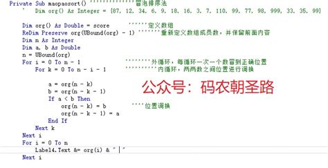 VB程序格式