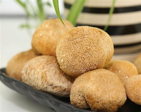 猴头菇可以泡一个晚上吗