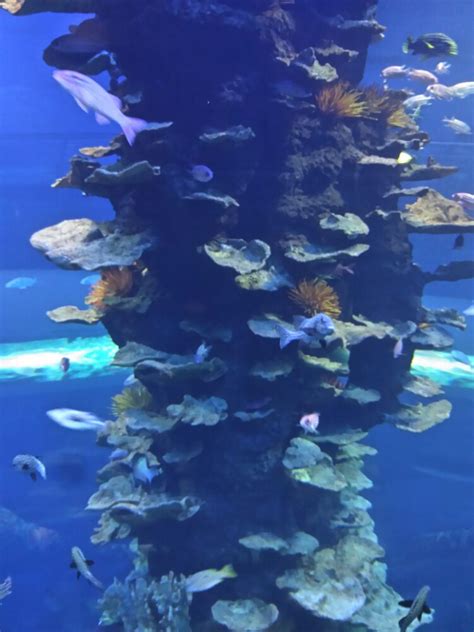 青岛海底世界-游记作文400字【合集7则】