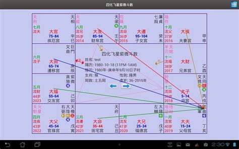 中国紫微斗数