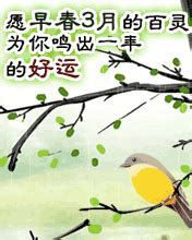 亲爱的春天_写给春天的一封信700字(集锦4则)