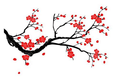 菜园即景-描写菜园的作文300字（优秀5则）