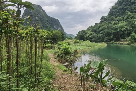 阳朔是哪个城市的县城？