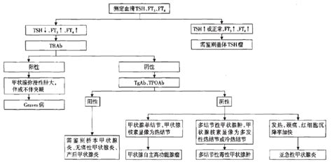 妊娠期甲亢的诊断