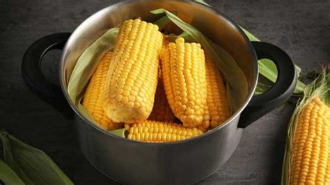 水煮玉米一般要煮多长时间