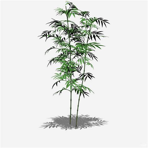 恐怖的竹子游戏-玩游戏作文800字[汇总10篇]