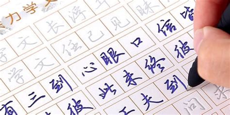 想要练字,下载什么打字软件功能全,效率高?