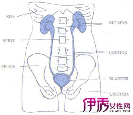 膀胱充盈差是病吗