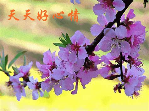 51微信祝福语（集锦96条）