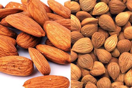 吃杏仁对身体有什么好处和坏处