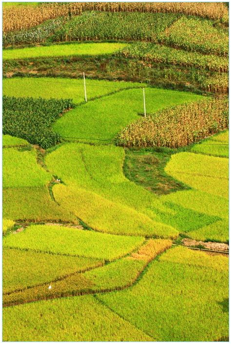 秋天的田野_写景作文350字【汇总6则】