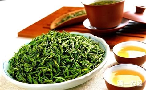 青錢柳茶有用嗎?