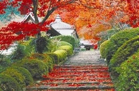 秋天的小区-写景作文350字【摘抄9则】