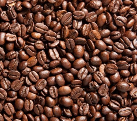 20克大约多少咖啡豆