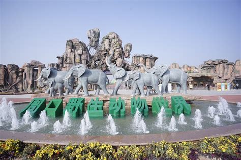 游野生动物园_关于动物园的作文300字（优秀7则）