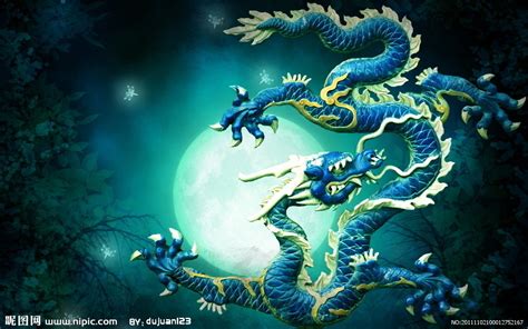 要个青龙图片