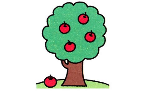画苹果树与梨树的比例线段图,并解答,谢谢了