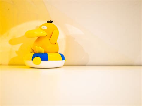 五彩鸭(经典5篇)