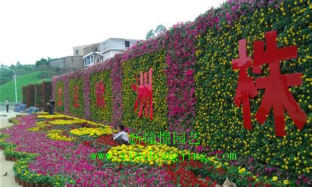 长沙花卉市场的介绍