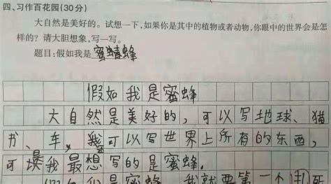 蜜蜂-小动物作文400字（集锦9篇）